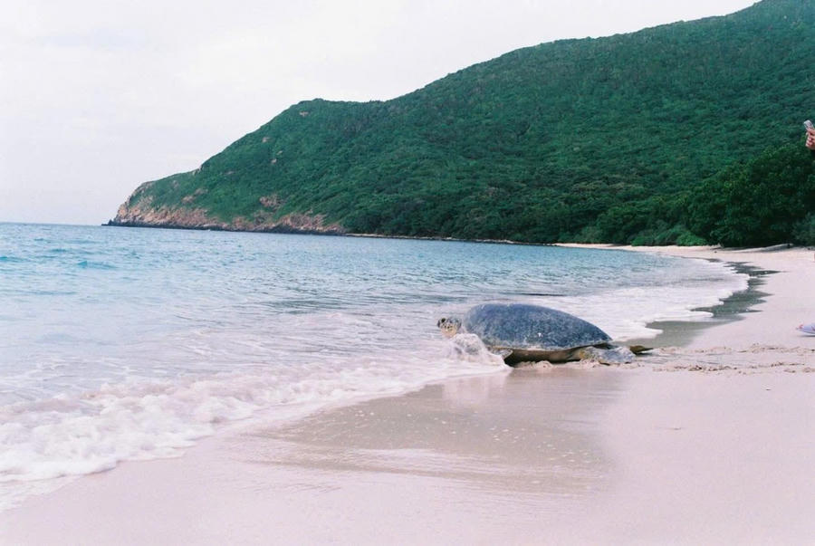 Một góc Côn Đảo