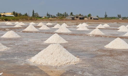 Hàng năm, sản lượng muối thương phẩm Bạc Liêu cung ứng ra thị trường lên tới trên dưới 250 ngàn tấn.