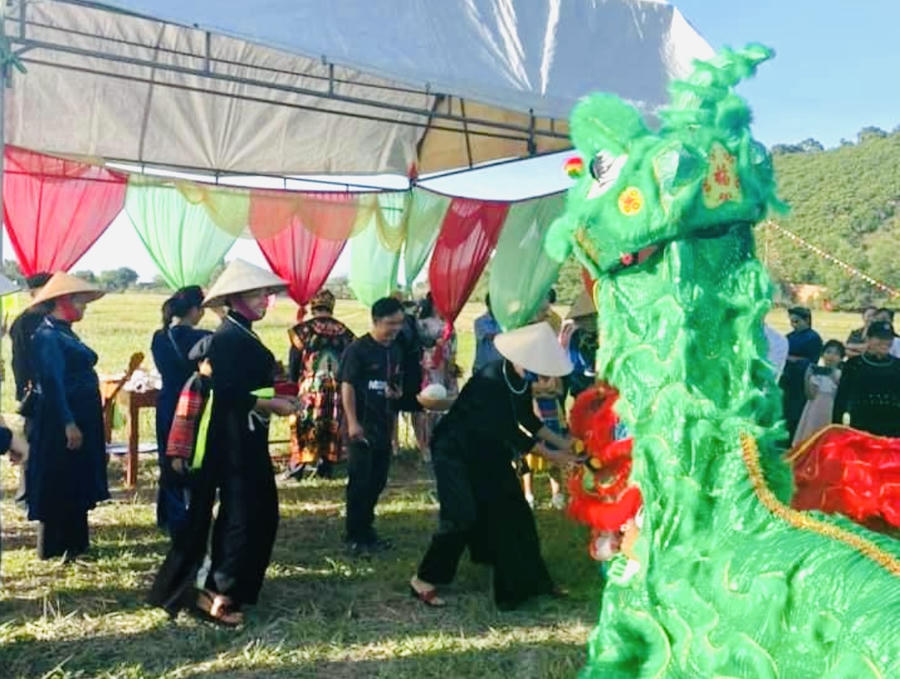 Theo bà Trần Thị Mỹ Phúc – Chủ tịch Ủy ban nhân dân xã Thanh Sơn, tỉnh Đồng Nai: “Lễ hội Lồng Tồng trở thành thương hiệu và là điểm đến của du khách gần xa gắn với phát triển du lịch văn hóa dân gian trên địa bàn. Nhằm bảo tồn giá trị văn hóa truyền thống đặc sắc của đồng bào dân tộc Tày, Nùng, xã Thanh Sơn đã tổ chức lễ hội Lồng Tồng. Đây là một lễ hội mang tính dân gian tín ngưỡng ở các bản làng với mong ước cầu cho quốc thái, dân an, nhà nhà yên vui hạnh phúc và mưa thuận, gió hòa, mùa màng tươi tốt.”