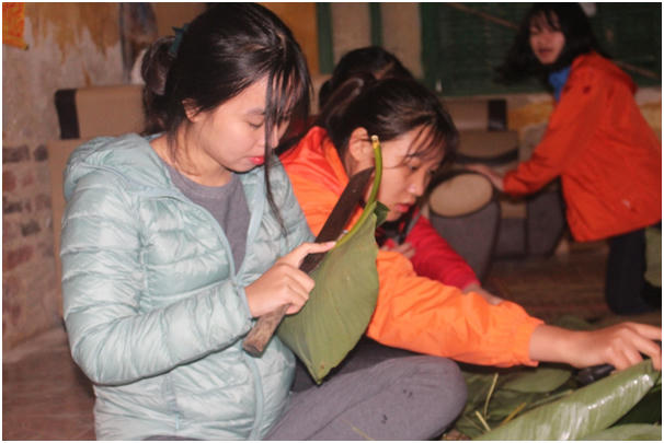 Các Tình nguyện viên đang cắt lá rong chuẩn bị gói bánh chưng.