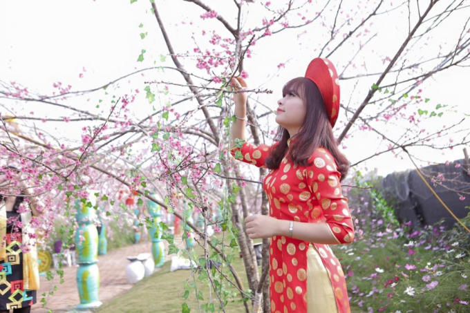 11665416_537421249772499_2674389266044022849_n