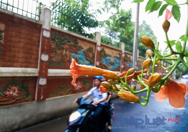 Bức tường gốm tô điểm cho ngõ nhỏ
