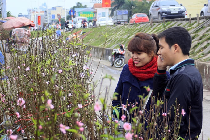Nhiều người dân thủ đô đã bắt đầu đi mua đào về chơi trong tháng Chạp.
