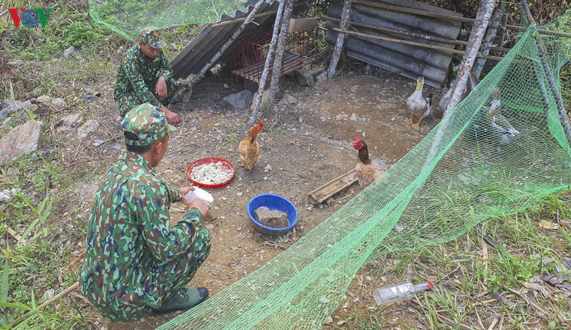 chong nhap canh trai phep, linh bien phong tiep tuc ngu rung, bam nui hinh 5