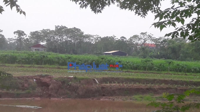 Giữa cánh đồng trên phần đất nông nghiệp xuất hiện nhiều ngôi nhà