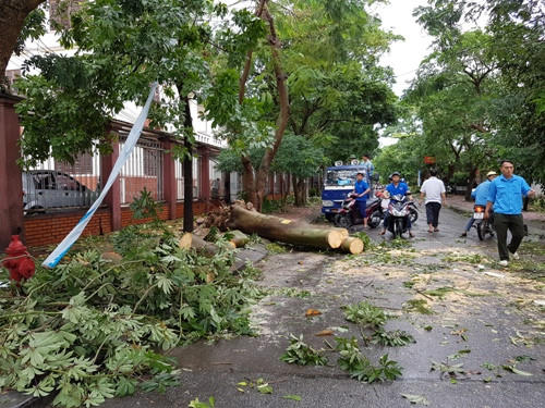 Cơn bão số 2 có tên Talas đã đổ bộ vào đất liền tại hai tỉnh Nghệ An và Hà Tĩnh. Ảnh: Tiền Phong.