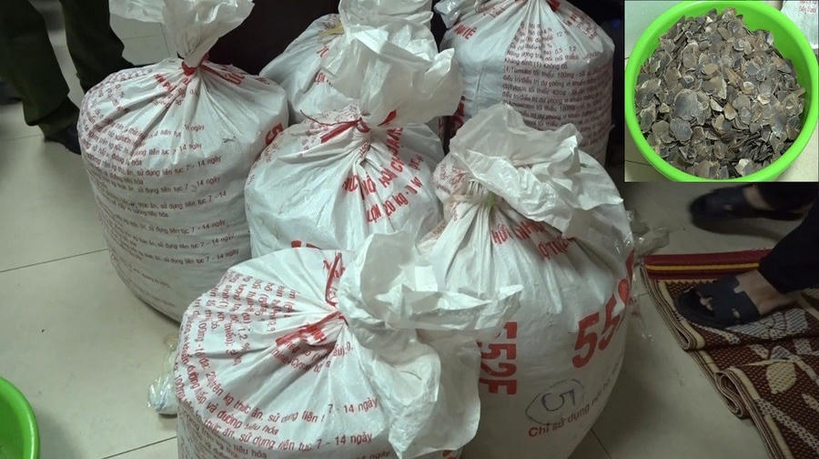 Gần 1,6 tạ vảy tê tê cùng nhiều tang vật khác bị Công an thu giữ - Ảnh Công an Nghệ An.