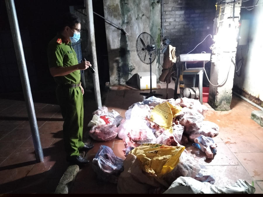 Số lượng lớn thịt lợn bị nhiễm