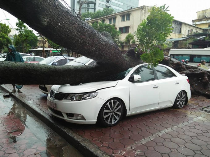 Chiếc xe bị đè bẹp  phần mui và hư hại nặng.