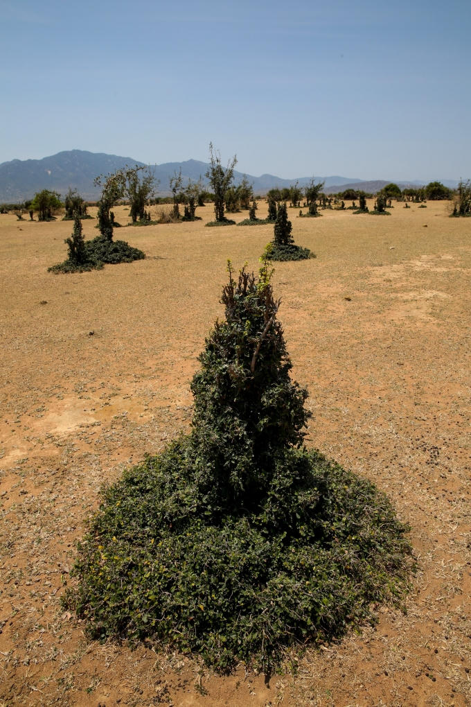 Như lâu đài trên đảo nhỏ