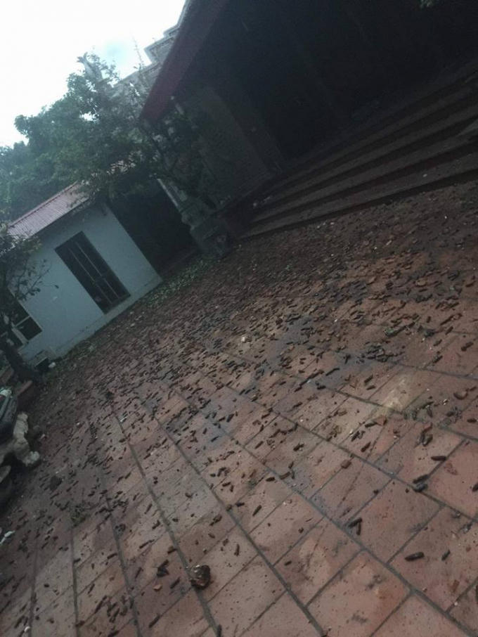 Ảnh Facebook Lê Minh Đức.