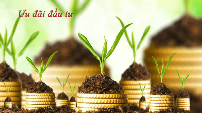 cac-hinh-thuc-uu-dai-dau-tu copy