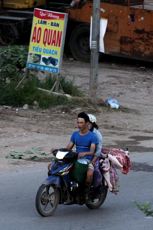 Theo quy định, việc vận chuyển thịt lợn phải được đóng gói bằng thùng tôn, thậm chí còn phải ướp lạnh hoặc bảo quản, vận chuyển bằng xe tải đông lạnh.