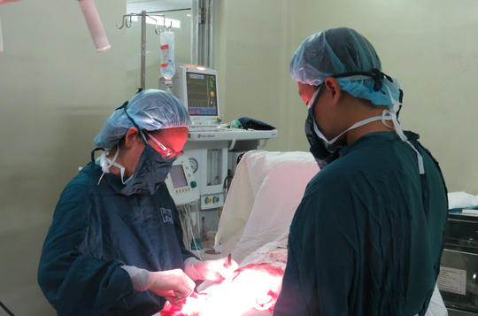 Ở một phòng mổ khác, các bác sĩ cũng vừa giúp một sản phụ vượt qua ca sinh nở không ít khó khăn. Vị nữ bác sĩ dày dạn kinh nghiệm đang thực hiện những mũi khâu với nụ cười trong ánh mắt, bởi chị cũng vừa giúp một gia đình có niềm vui Tết trọn vẹn