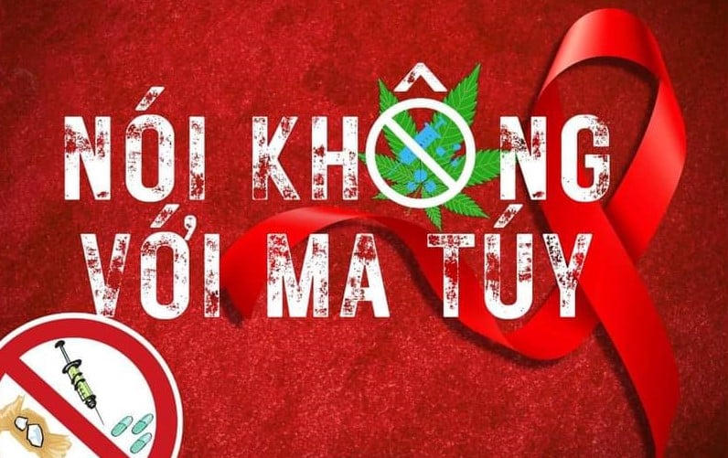 Phân định thẩm quyền liên quan đến phòng, chống ma túy khi tổ chức chính quyền địa phương 2 cấp- Ảnh 1.