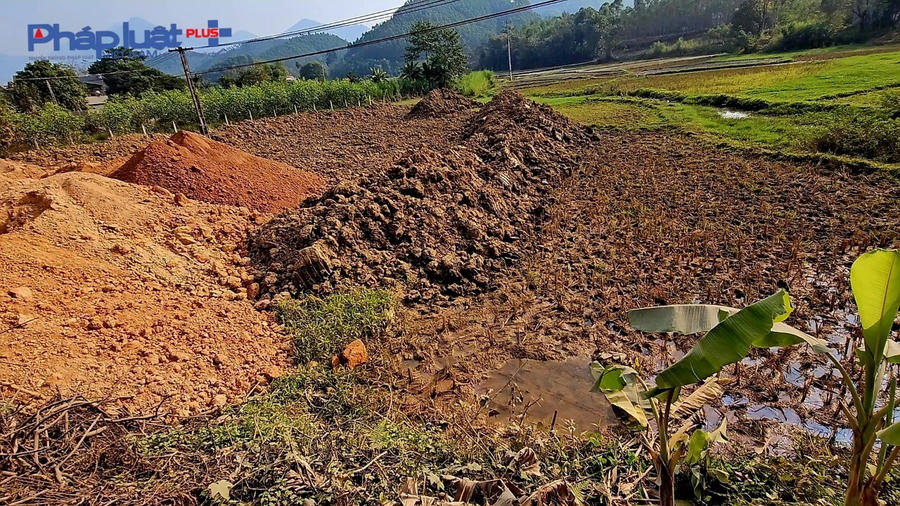 z5034294230140_8c68f4f9fffc33ae5d9e40e67ae7c85f