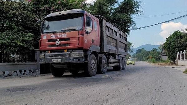 phapluat6