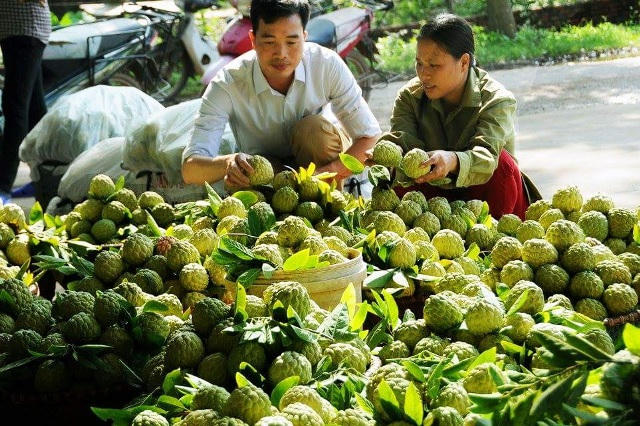 vanhien.vn