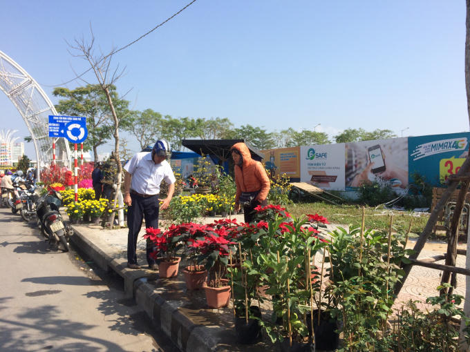 Những ngày cuối năm, Đà Nẵng nắng đẹp, khác xa hình ảnh giá lạnh mấy ngày trước đó. Người dân cũng tranh thủ đi ngắm hoa, mua hoa chuẩn bị cho năm mới.