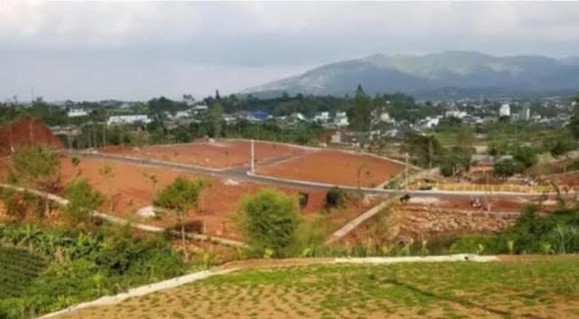 Đình chỉ công tác đối với Trưởng Phòng Quản lý Đô thị TP Bảo Lộc