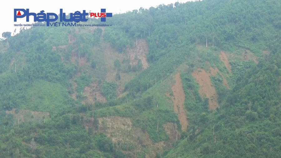 z3900248002111_6a37a793bd8a92ece35a264fe830f21b (1)