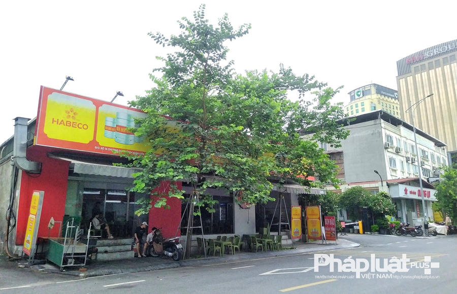 0f7dfba527b7f7e9aea618