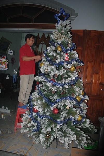 Người dân trang hoàng cây thông Noel chào đón Giáng sinh (Ảnh: Duy Ngợi.