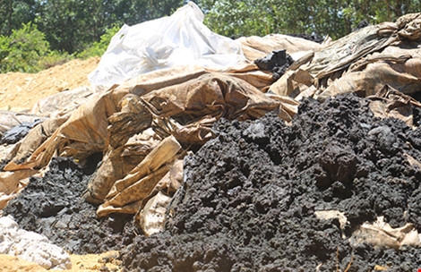 Từng đống chất thải đổ vào trang trại của ông Lê Quang Hòa - Giám đốc Công ty Môi trường đô thị  thị xã Kỳ Anh (Hà Tĩnh) chưa kịp lấp dấu. Ảnh: ĐL
