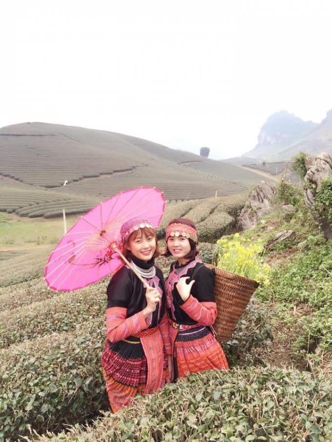 Nhiều bạn trẻ tranh thủ ghi lại những hình ảnh đẹp tại đồi chè.