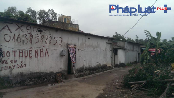 Và vẽ biển cho thuê nhà.