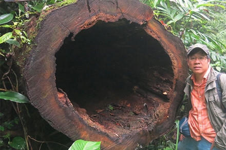 Rừng bảo tồn là con ngỗng béo!