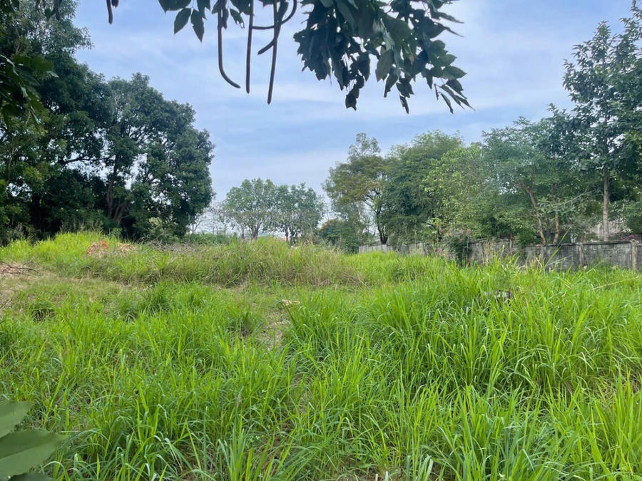 Nhiều diện tích đất của Khu thương mại Amata tại phường Long Bình vẫn đang bị bỏ hoang cỏ mọc um tùm.