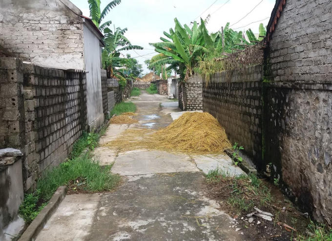 Vị trí nơi phát hiện chị P. nằm bất tỉnh.