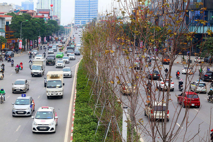 Đường Trần Duy Hưng trước đây có thảm cỏ xanh rộng hơn chục mét, hiện được trồng ba tầng cây xanh và điểm nhấn là cây phong lá đỏ.