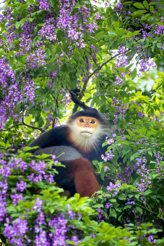 khampha8vuonquocgiaantuongnhatvietnam4_zzac