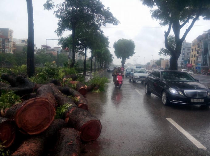 Thông tin mới nhất về cơn bão số 1: 1 người chết và 4 người khác bị thương
