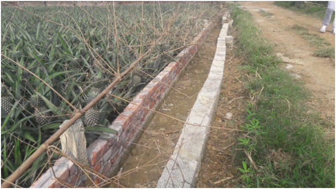 Tuy nhi&ecirc;n, sau đ&oacute;, ph&iacute;a l&atilde;nh đạo X&iacute; nghiệp Dứa Suối Hai kh&ocirc;ng tổ chức đo đạc đ&uacute;ng tr&igrave;nh tự, thủ tục theo quy định ph&aacute;p luật, tự dịch chuyển mốc giới s&acirc;u v&agrave;o khoảng 1 m&eacute;t phần đất gia đ&igrave;nh đang canh t&aacute;c, đồng thời, ph&aacute; bỏ to&agrave;n bộ phần hoa m&agrave;u tr&ecirc;n phần đất n&agrave;y.