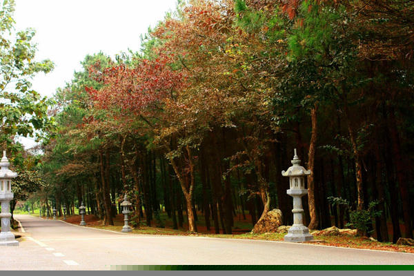 Ông Nguyễn Đức Anh – Phó chủ tịch UBND huyện Ba Vì (Hà Nội).