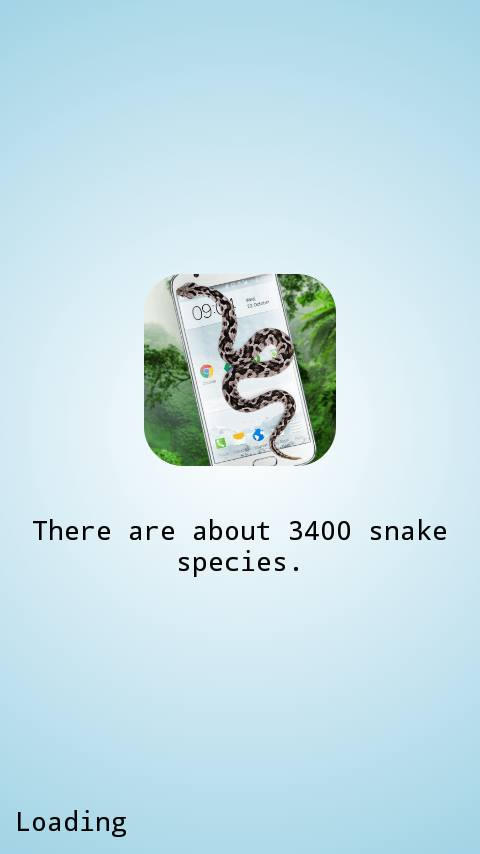 Khi chúng ta chọn cài đặt, máy bắt đầu tải về cài đặt