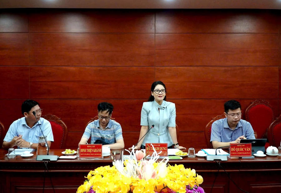 Bà Đỗ Thị Kim Dung - Phó Trưởng ban, Ban điều phối viện trợ nhân dân phát biểu tại buổi làm việc.