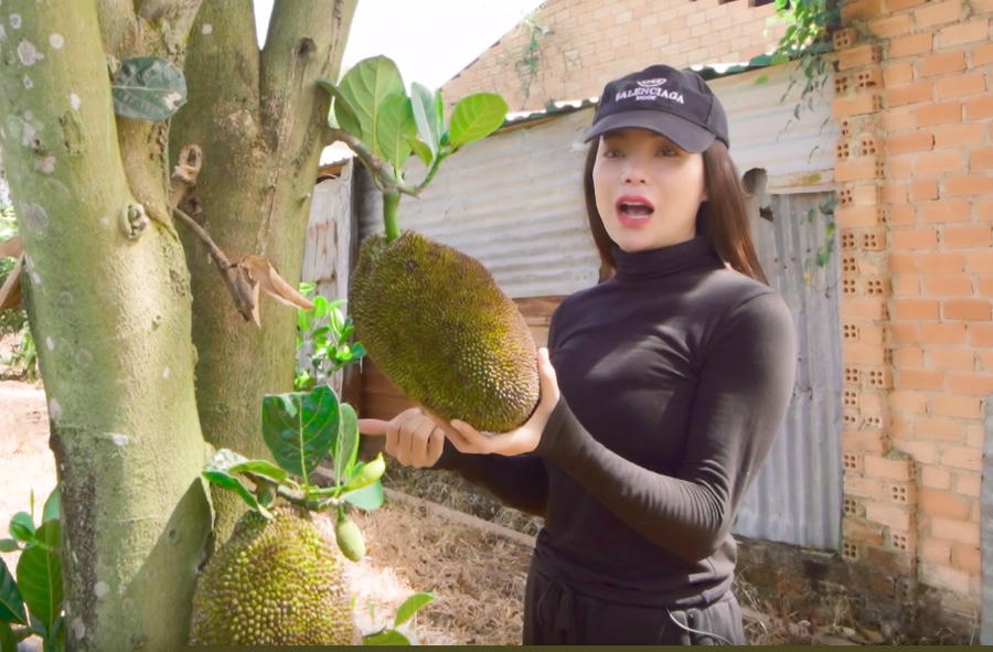 chan dai co vong ba hon 1m chi 15 ty mua 2 manh dat lam nong trai la ai? hinh anh 4