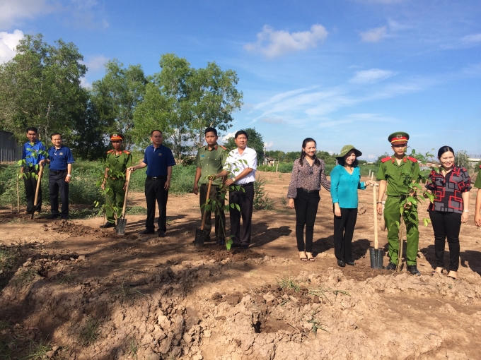 Những cây xanh được trồng mới của ngày lễ phát động