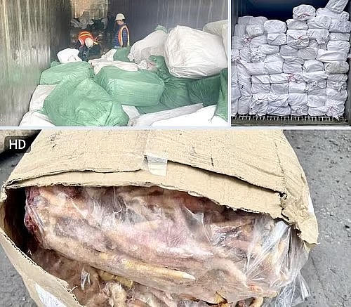 Cục Hải quan đã khởi tố vụ án xuất khống 1.400 tấn nguyên liệu thực phẩm là chân gà đông lạnh.