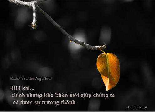Radio Y&ecirc;u thương Plus số 87: Khi ch&uacute;ng ta trưởng th&agrave;nh