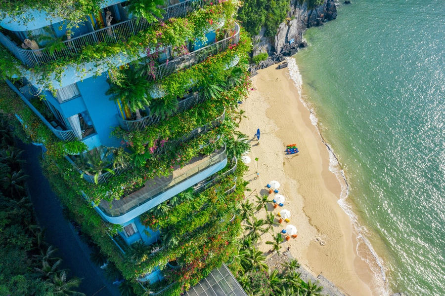 Một góc xanh ngát của Flamingo Cát Bà