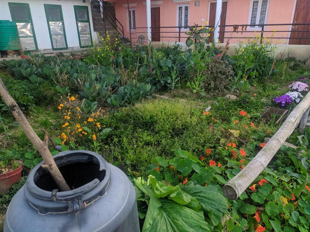 Theo Govinda Sharma, làm trang trại ở địa hình núi cao sẽ đối mặt với nguồn lao động khan hiếm, thiếu nước tưới, mưa nắng thất thường... đòi hỏi phải có cách để thích ứng, giúp cây trồng phát triển.