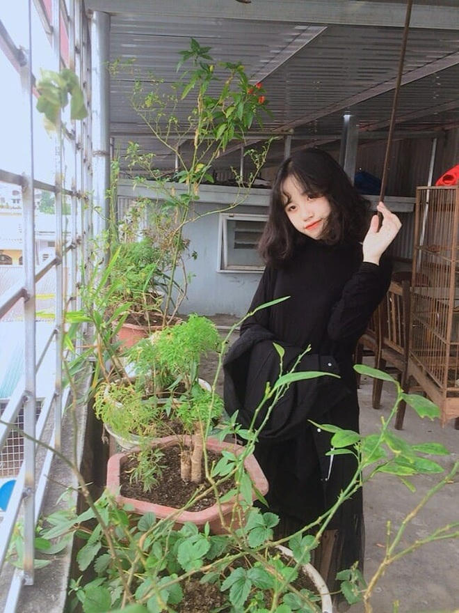 Hiện tại hình ảnh của nữ thủ khoa khối C xinh xắn vẫn nhận được sự chú ý từ phía cư dân mạng.