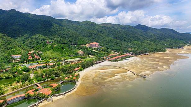Ảnh minh họa (Nguồn: Internet)