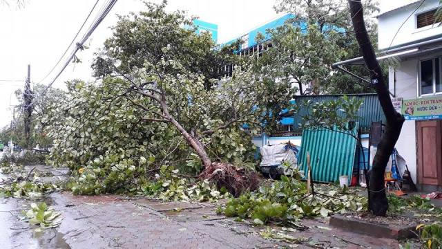 Cây đổ ngổn ngang trên các tuyến đường ở Tp Vinh (Nghệ An). Ảnh Dân Việt