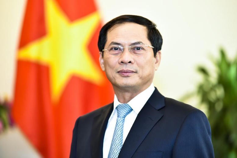 Phó Thủ tướng Chính phủ Bùi Thanh Sơn.